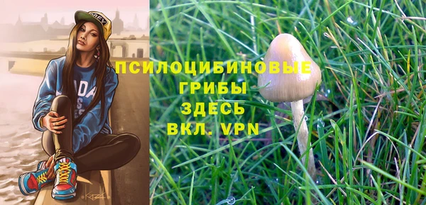 Альфа ПВП Новокубанск