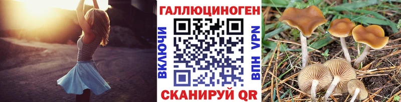 Галлюциногенные грибы GOLDEN TEACHER Усолье